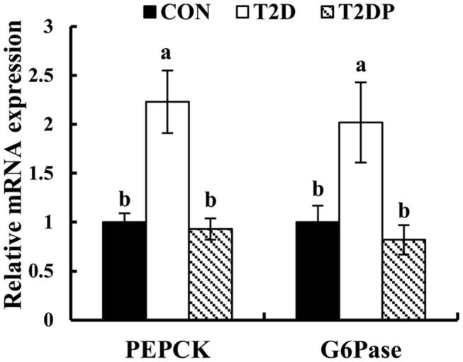 https://cdn.ncbi.nlm.nih.gov/pmc/blobs/66da/7522508/94eb862ca5ef/fnut-07-00161-g0005.jpg
