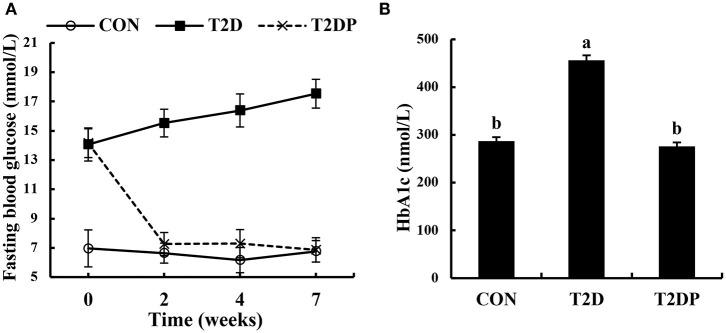 https://cdn.ncbi.nlm.nih.gov/pmc/blobs/66da/7522508/e008429074b0/fnut-07-00161-g0002.jpg