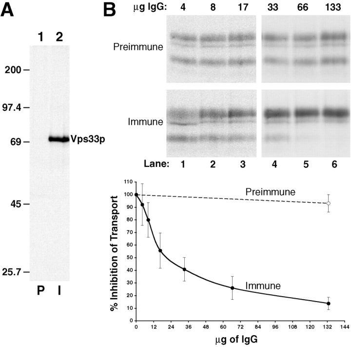 https://cdn.ncbi.nlm.nih.gov/pmc/blobs/66dc/2199724/320938cb721b/JCB9904110.f7.jpg