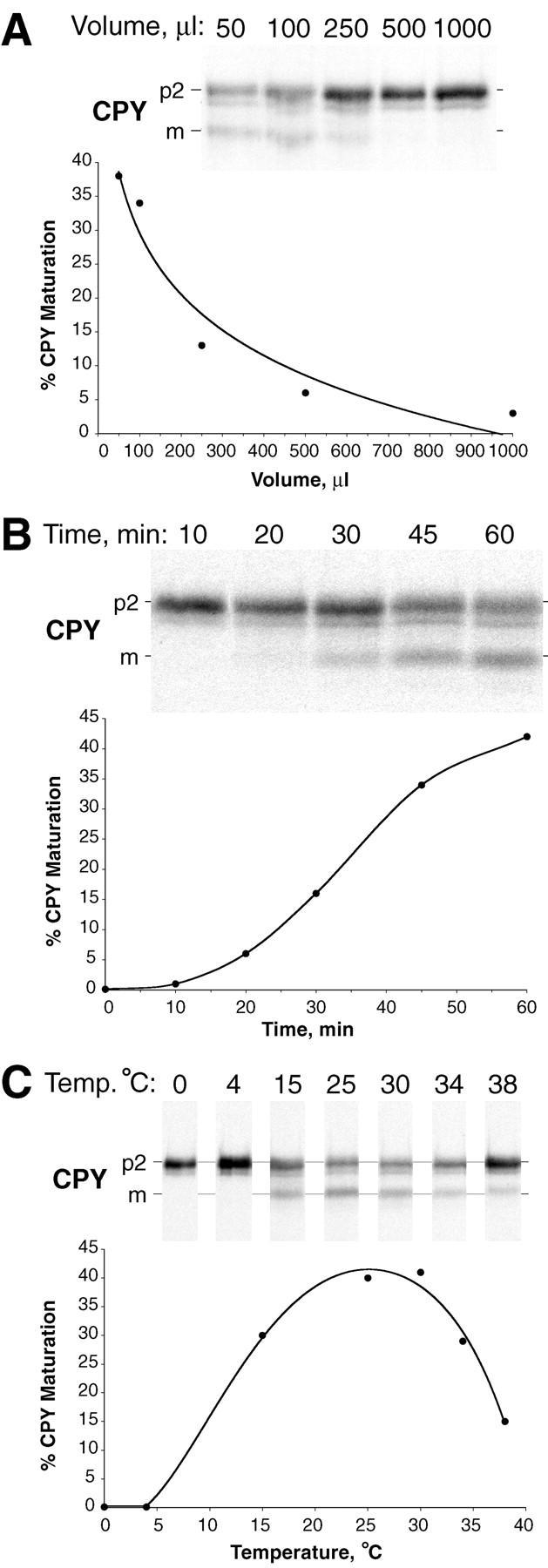 https://cdn.ncbi.nlm.nih.gov/pmc/blobs/66dc/2199724/f0a3a990634b/JCB9904110.f4.jpg