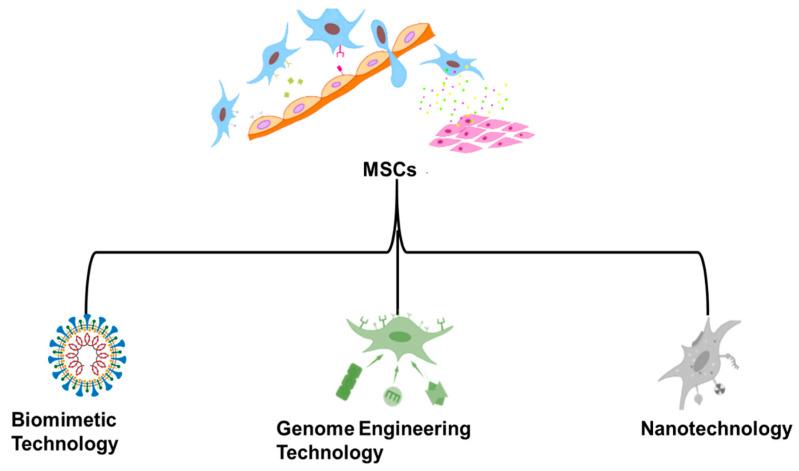 https://cdn.ncbi.nlm.nih.gov/pmc/blobs/66e0/10004171/70773f7f6282/molecules-28-02130-g001.jpg