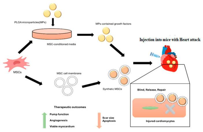 https://cdn.ncbi.nlm.nih.gov/pmc/blobs/66e0/10004171/8e5902364133/molecules-28-02130-g006.jpg