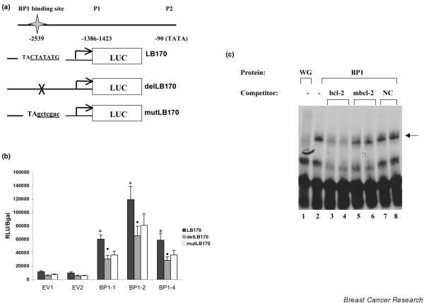 https://cdn.ncbi.nlm.nih.gov/pmc/blobs/66e3/2242656/67a5f7bc9798/bcr1766-4.jpg