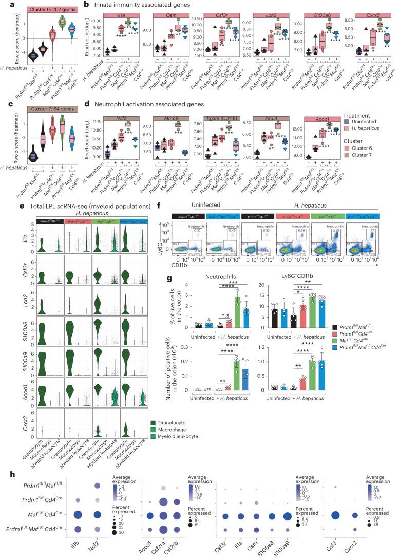https://cdn.ncbi.nlm.nih.gov/pmc/blobs/66e5/11065689/2b4b8442e073/41590_2024_1814_Fig5_HTML.jpg
