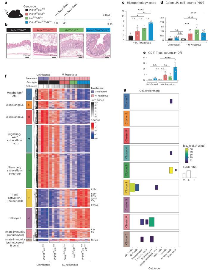 https://cdn.ncbi.nlm.nih.gov/pmc/blobs/66e5/11065689/35e9c2ed9565/41590_2024_1814_Fig1_HTML.jpg