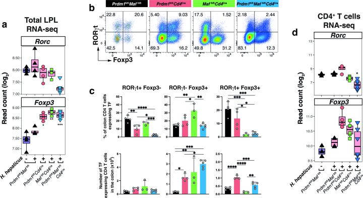 https://cdn.ncbi.nlm.nih.gov/pmc/blobs/66e5/11065689/4001cae21693/41590_2024_1814_Fig12_ESM.jpg