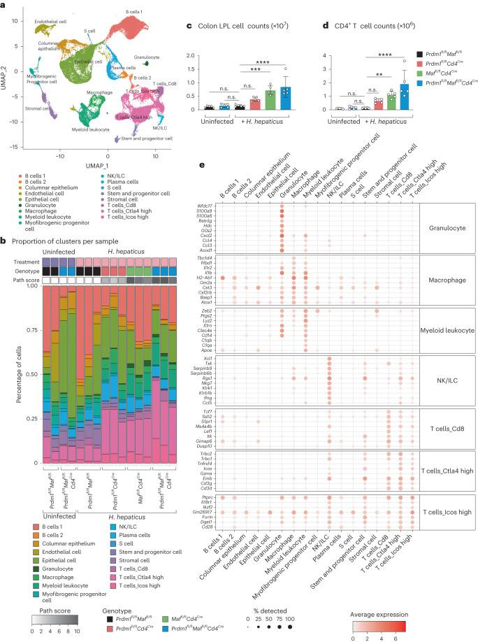 https://cdn.ncbi.nlm.nih.gov/pmc/blobs/66e5/11065689/4e82c23b1c43/41590_2024_1814_Fig2_HTML.jpg