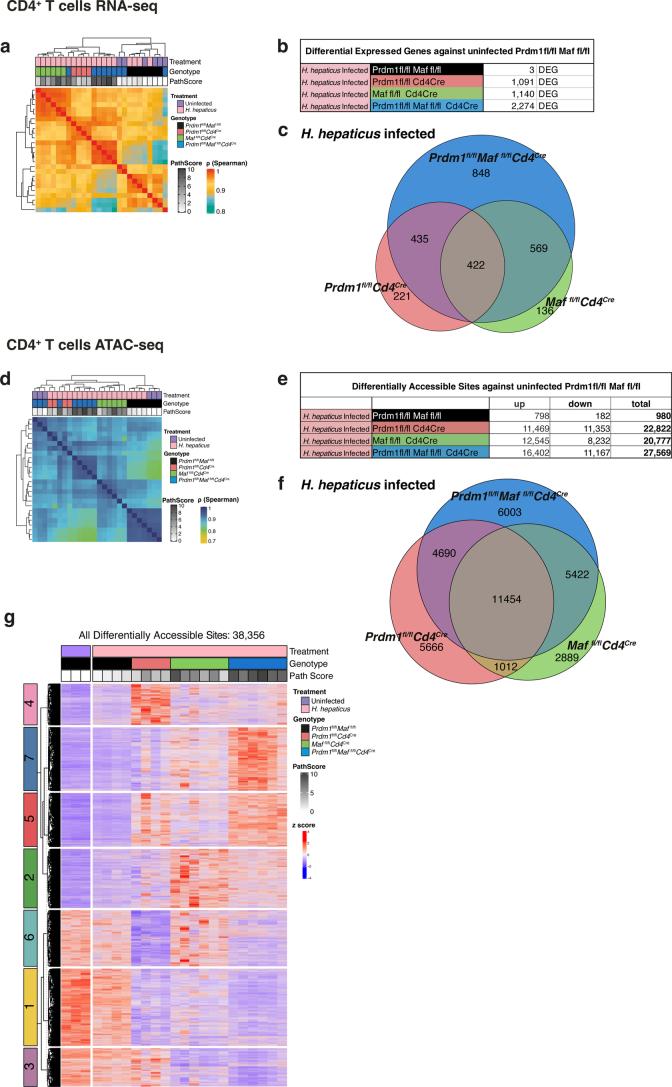 https://cdn.ncbi.nlm.nih.gov/pmc/blobs/66e5/11065689/6c234afd98d1/41590_2024_1814_Fig13_ESM.jpg