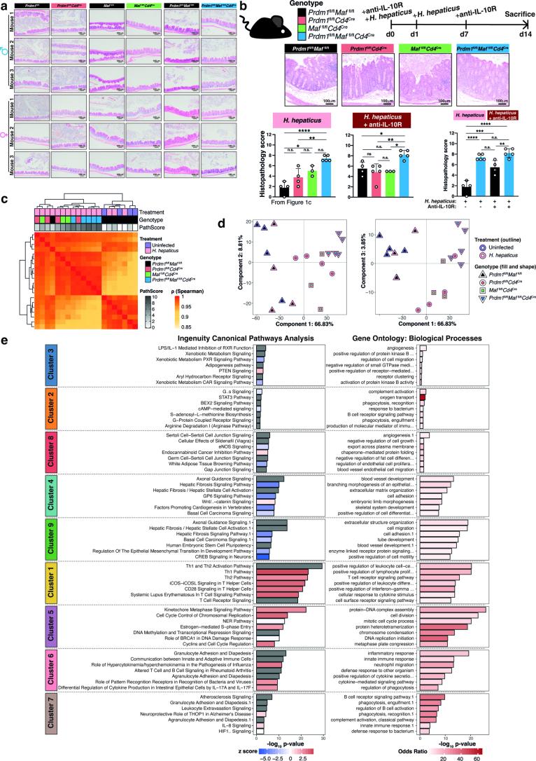 https://cdn.ncbi.nlm.nih.gov/pmc/blobs/66e5/11065689/a30f2d3c6a76/41590_2024_1814_Fig8_ESM.jpg