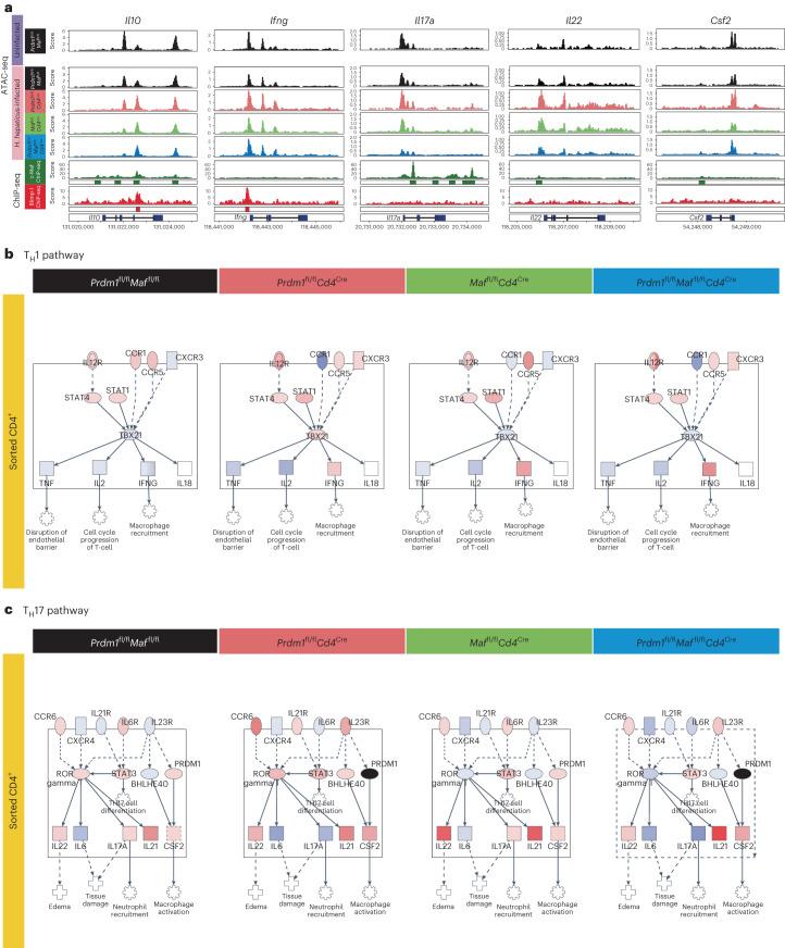 https://cdn.ncbi.nlm.nih.gov/pmc/blobs/66e5/11065689/abfe897190d3/41590_2024_1814_Fig4_HTML.jpg