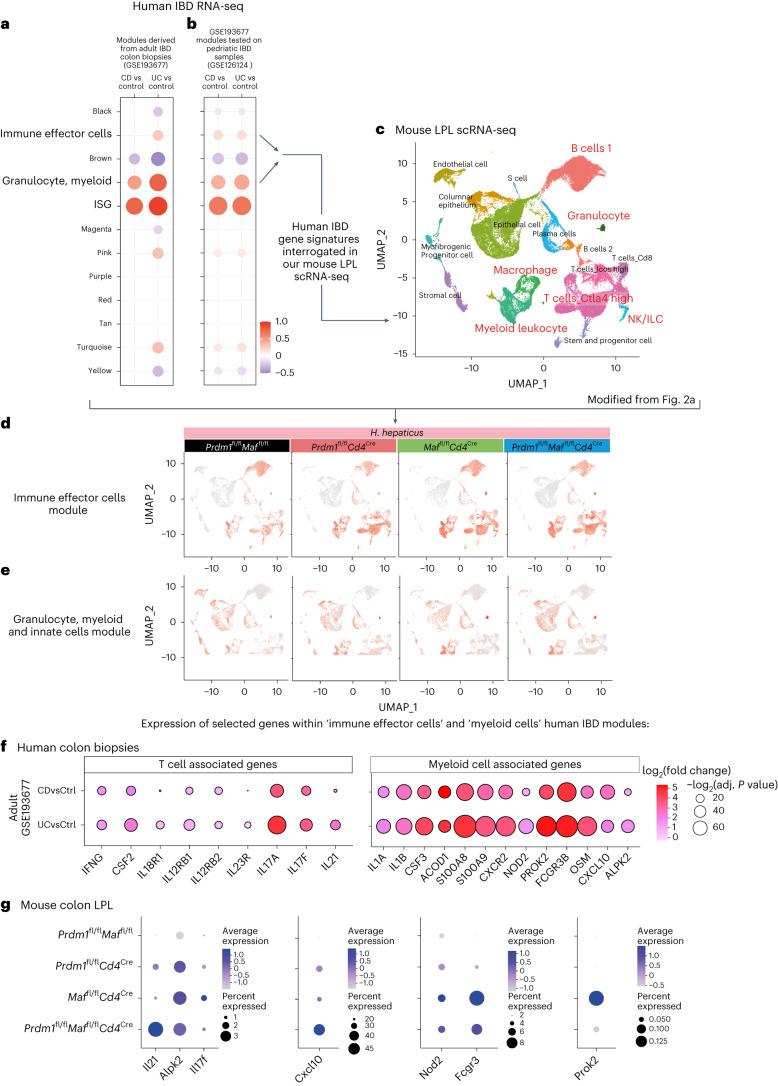 https://cdn.ncbi.nlm.nih.gov/pmc/blobs/66e5/11065689/b32192a207d7/41590_2024_1814_Fig7_HTML.jpg