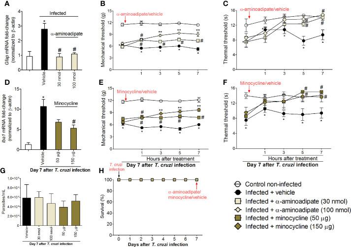 https://cdn.ncbi.nlm.nih.gov/pmc/blobs/66e5/7870690/3495c01c81c3/fimmu-11-539086-g003.jpg