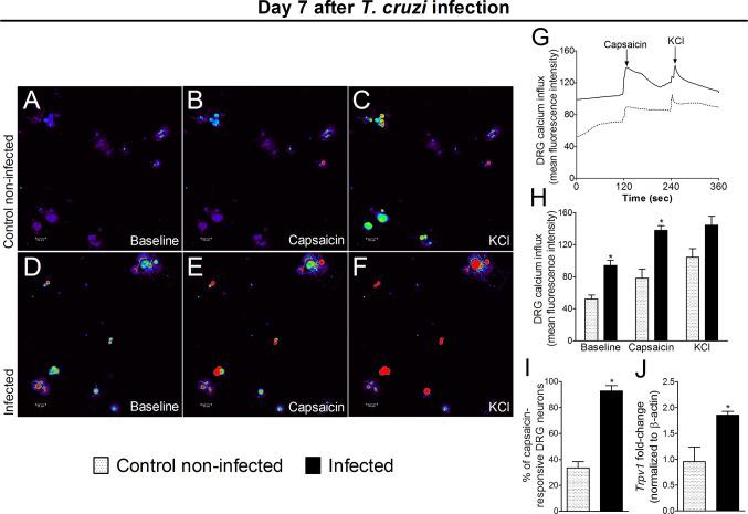 https://cdn.ncbi.nlm.nih.gov/pmc/blobs/66e5/7870690/da574316c69c/fimmu-11-539086-g008.jpg