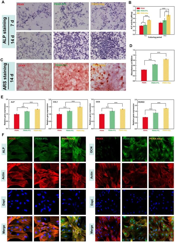 https://cdn.ncbi.nlm.nih.gov/pmc/blobs/66e6/10980557/fd11903beed8/rbae023f6.jpg