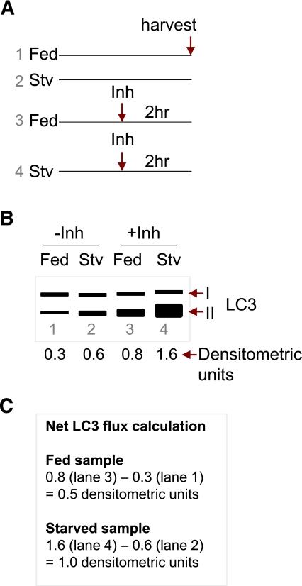 https://cdn.ncbi.nlm.nih.gov/pmc/blobs/66e8/3266408/a9a032070c36/272fig7.jpg