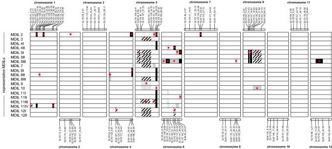 https://cdn.ncbi.nlm.nih.gov/pmc/blobs/66e8/7973918/7d2fb492ca97/122_2020_3758_Fig1_HTML.jpg