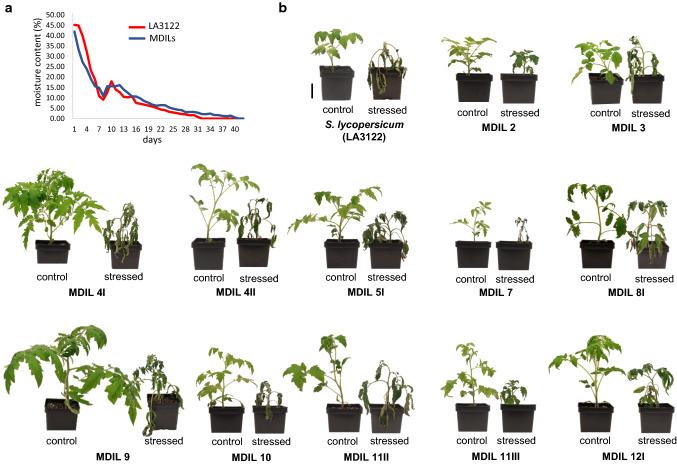 https://cdn.ncbi.nlm.nih.gov/pmc/blobs/66e8/7973918/f919388d15ad/122_2020_3758_Fig5_HTML.jpg