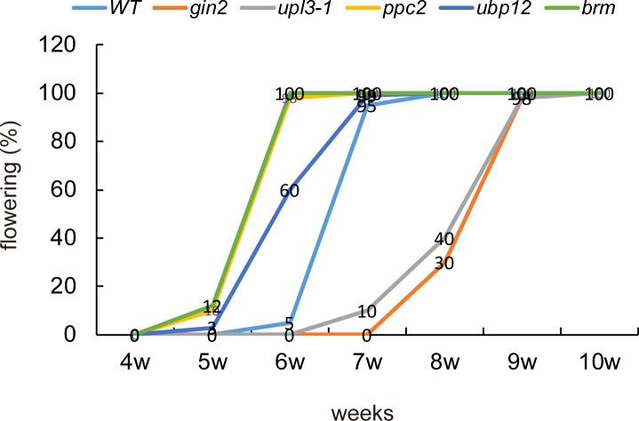 https://cdn.ncbi.nlm.nih.gov/pmc/blobs/66e8/9354775/14a22668df7f/LSA-2022-01492_FigS11.jpg