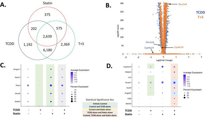 https://cdn.ncbi.nlm.nih.gov/pmc/blobs/66e9/10547718/95401c12434d/41598_2023_42972_Fig4_HTML.jpg