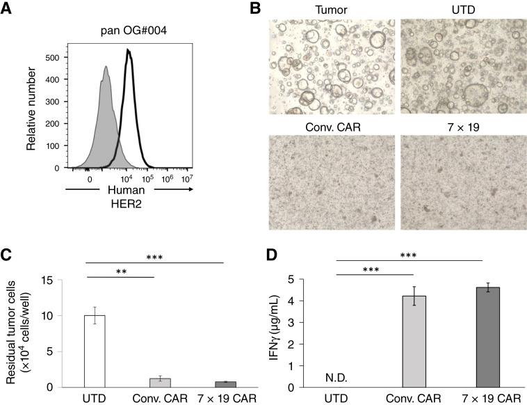 https://cdn.ncbi.nlm.nih.gov/pmc/blobs/66e9/11423281/5813fb885629/crc-24-0226_f5.jpg