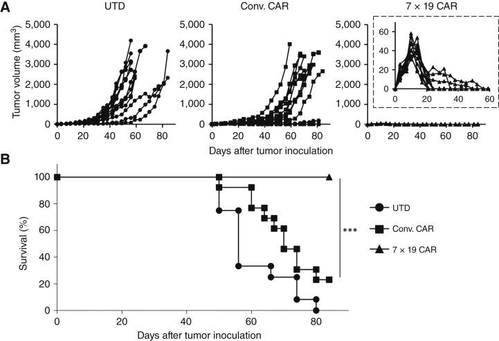 https://cdn.ncbi.nlm.nih.gov/pmc/blobs/66e9/11423281/cb97f71b5131/crc-24-0226_f2.jpg