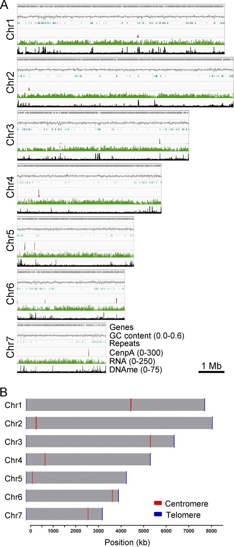 https://cdn.ncbi.nlm.nih.gov/pmc/blobs/66e9/6667624/15956b0e8c1d/mBio.01581-19-f0006.jpg