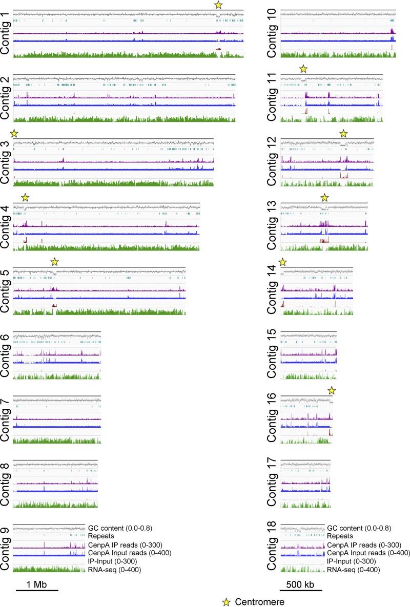 https://cdn.ncbi.nlm.nih.gov/pmc/blobs/66e9/6667624/7d3b9ea56f32/mBio.01581-19-f0007.jpg