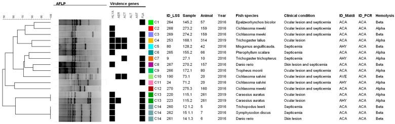 https://cdn.ncbi.nlm.nih.gov/pmc/blobs/66ea/10819562/5112853d03e5/microorganisms-12-00176-g004.jpg