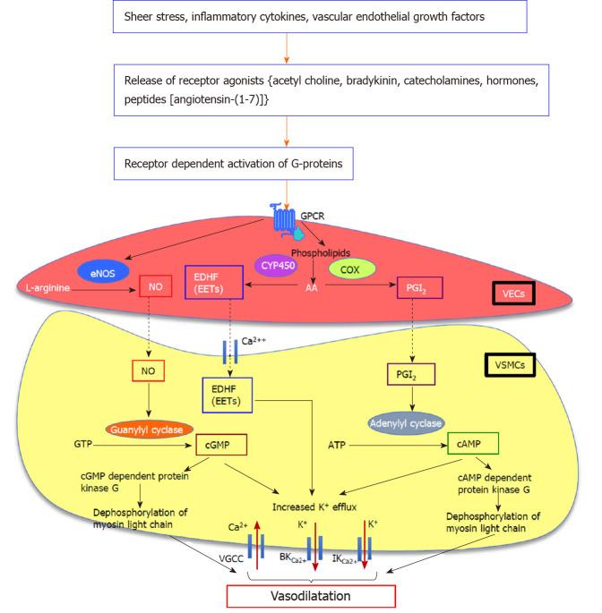 https://cdn.ncbi.nlm.nih.gov/pmc/blobs/66ea/7596642/d7851153074f/WJG-26-6111-g001.jpg