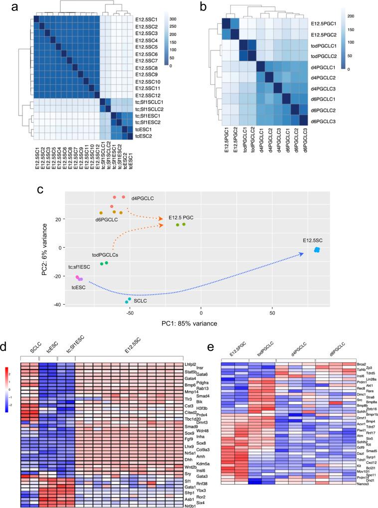 https://cdn.ncbi.nlm.nih.gov/pmc/blobs/66eb/8239049/ac76c5ac704b/42003_2021_2322_Fig5_HTML.jpg