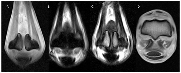 https://cdn.ncbi.nlm.nih.gov/pmc/blobs/66ed/11240673/0b9ab38d90a9/animals-14-01866-g002.jpg