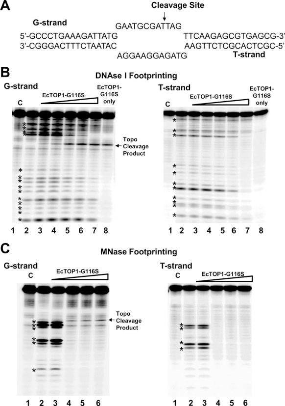 https://cdn.ncbi.nlm.nih.gov/pmc/blobs/66ee/4678816/5d012fb4ee62/gkv1073fig9.jpg