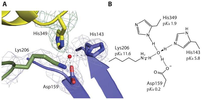 https://cdn.ncbi.nlm.nih.gov/pmc/blobs/66f4/3981719/641ed0771567/nihms4091f2.jpg