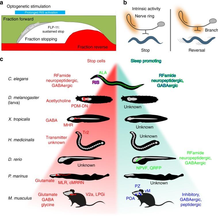 https://cdn.ncbi.nlm.nih.gov/pmc/blobs/66f7/6736843/dc605510d800/41467_2019_12098_Fig8_HTML.jpg