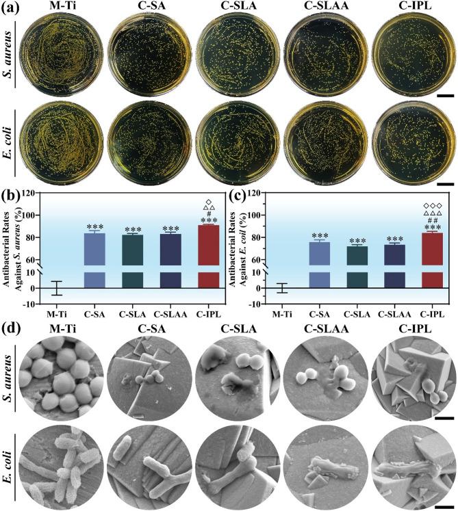 https://cdn.ncbi.nlm.nih.gov/pmc/blobs/66fb/12087176/ae3b6de2d708/12951_2025_3443_Fig8_HTML.jpg