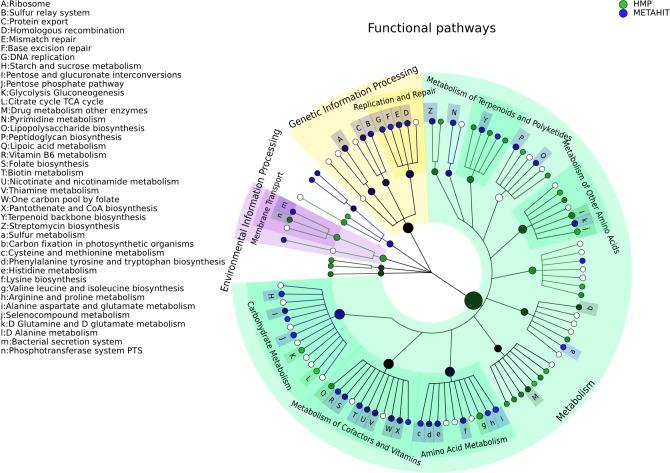 https://cdn.ncbi.nlm.nih.gov/pmc/blobs/66fd/4476132/2138e47aae66/peerj-03-1029-g004.jpg