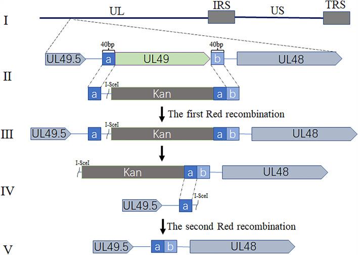 https://cdn.ncbi.nlm.nih.gov/pmc/blobs/6702/10351120/2233403fbd68/13567_2023_1191_Fig1_HTML.jpg
