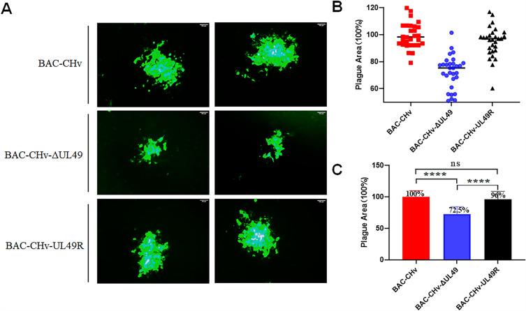 https://cdn.ncbi.nlm.nih.gov/pmc/blobs/6702/10351120/dac93167eb51/13567_2023_1191_Fig6_HTML.jpg