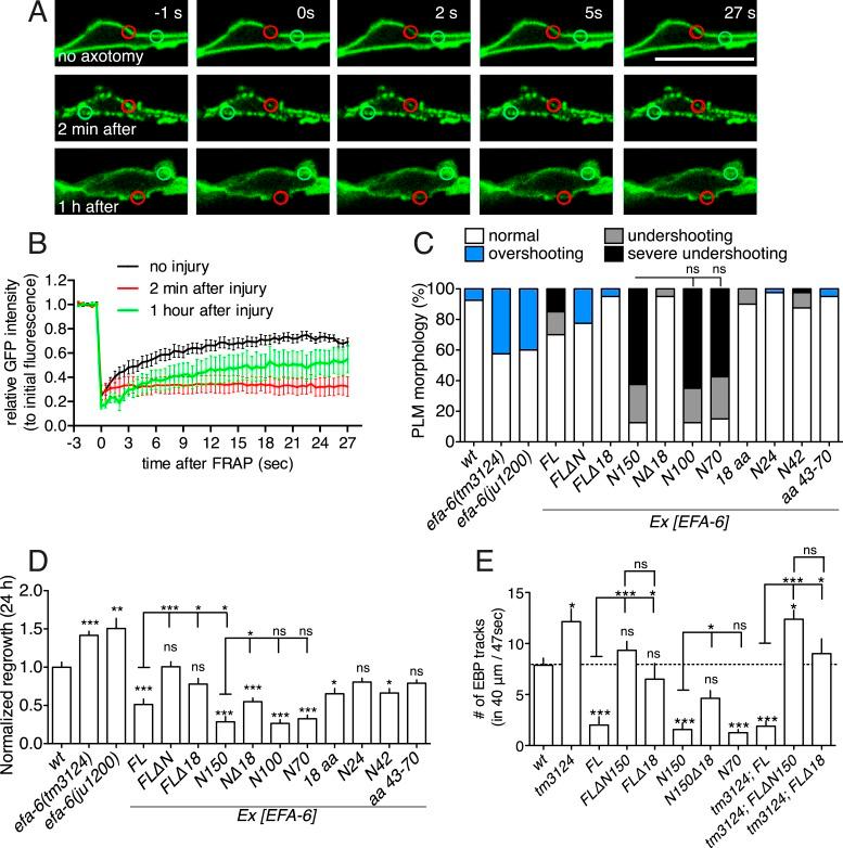 https://cdn.ncbi.nlm.nih.gov/pmc/blobs/6703/4596636/1fe03f343d9c/elife08695f002.jpg