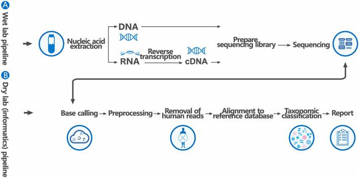 https://cdn.ncbi.nlm.nih.gov/pmc/blobs/6703/8885724/469eae6172c1/fmed-09-807174-g0002.jpg