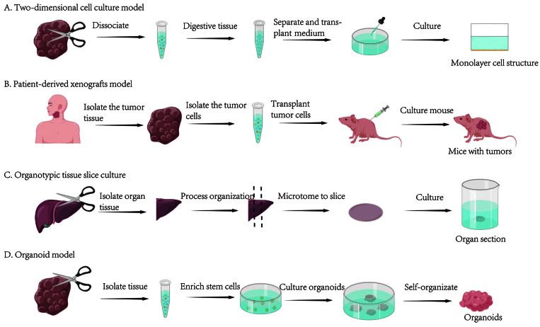 https://cdn.ncbi.nlm.nih.gov/pmc/blobs/6704/11407818/ae329a697b74/cm9-137-2157-g001.jpg