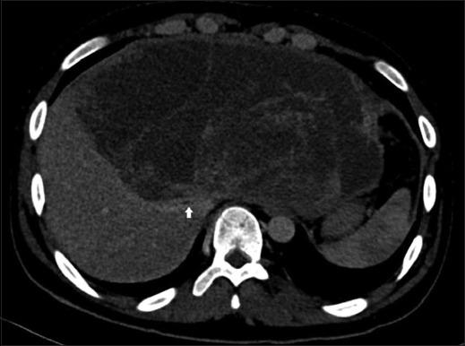 https://cdn.ncbi.nlm.nih.gov/pmc/blobs/6707/11326664/19e0b8d7cf8b/JCAS-10-599-g001.jpg