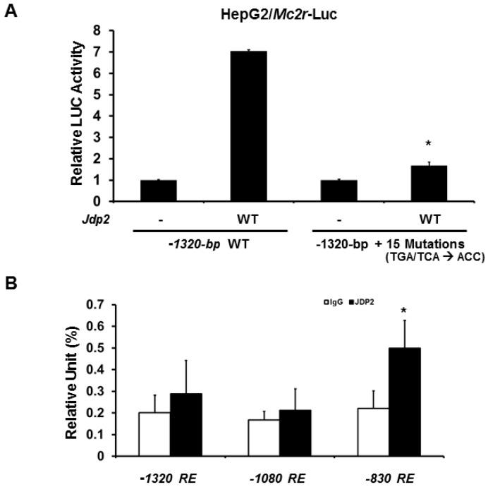 https://cdn.ncbi.nlm.nih.gov/pmc/blobs/6708/5343840/62e6c3a4e13f/ijms-18-00304-g004.jpg