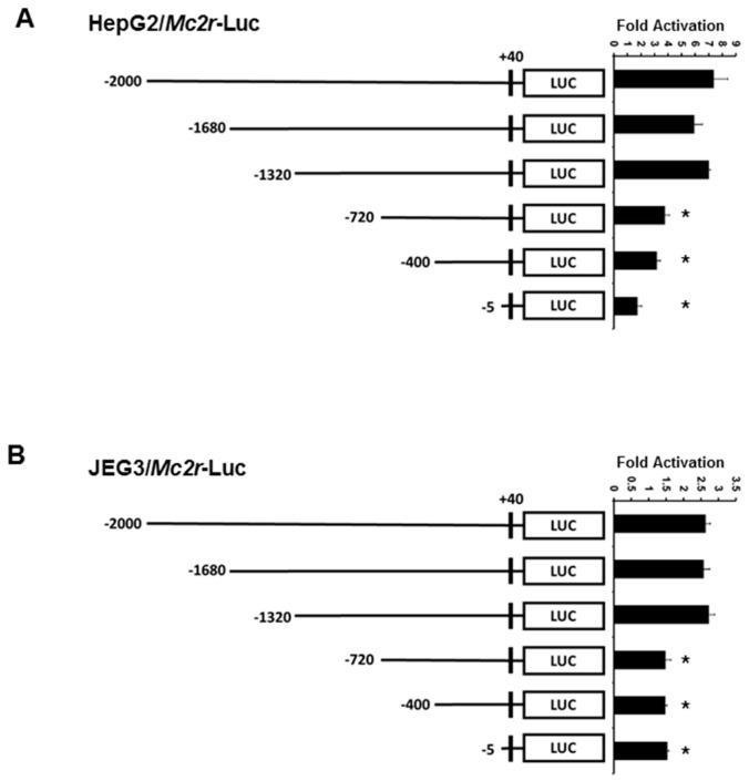 https://cdn.ncbi.nlm.nih.gov/pmc/blobs/6708/5343840/dfd142f6419a/ijms-18-00304-g003.jpg