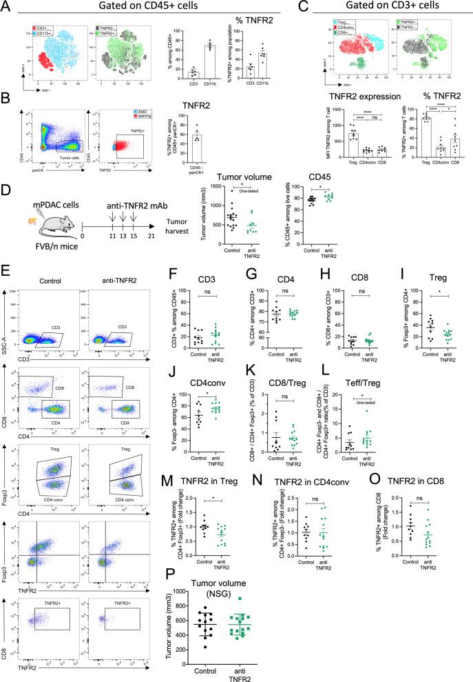 https://cdn.ncbi.nlm.nih.gov/pmc/blobs/6709/11580249/3418985b6758/jitc-12-11-g002.jpg