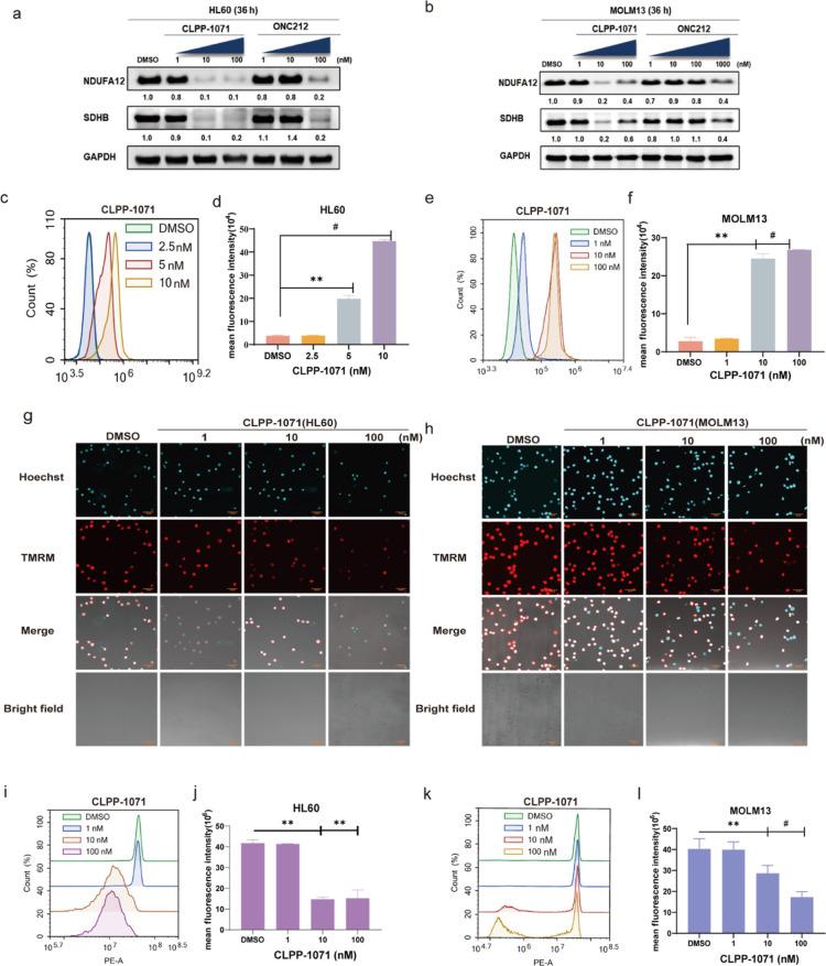 https://cdn.ncbi.nlm.nih.gov/pmc/blobs/670d/11647907/f51e1c2c7707/jm4c01605_0008.jpg