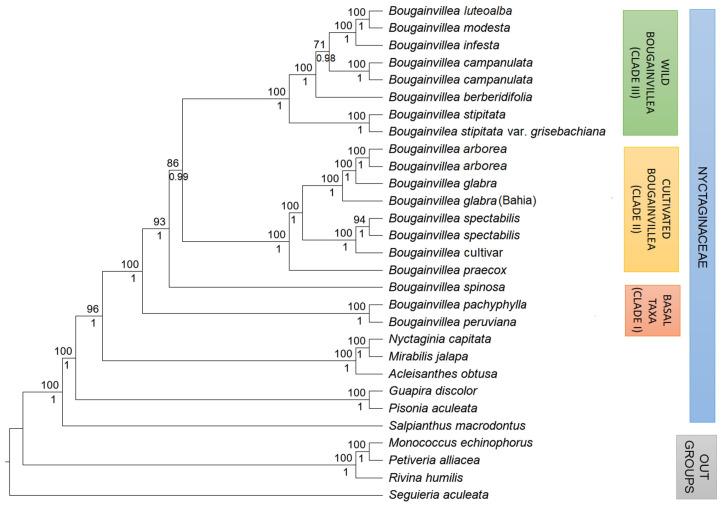 https://cdn.ncbi.nlm.nih.gov/pmc/blobs/670d/9269543/acaeafbc76a7/plants-11-01700-g004.jpg
