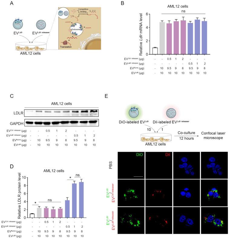 https://cdn.ncbi.nlm.nih.gov/pmc/blobs/670f/10283059/7b7b6d1fdb8e/thnov13p3467g004.jpg