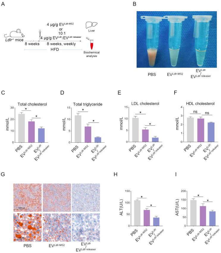 https://cdn.ncbi.nlm.nih.gov/pmc/blobs/670f/10283059/d90d2477c2f7/thnov13p3467g006.jpg