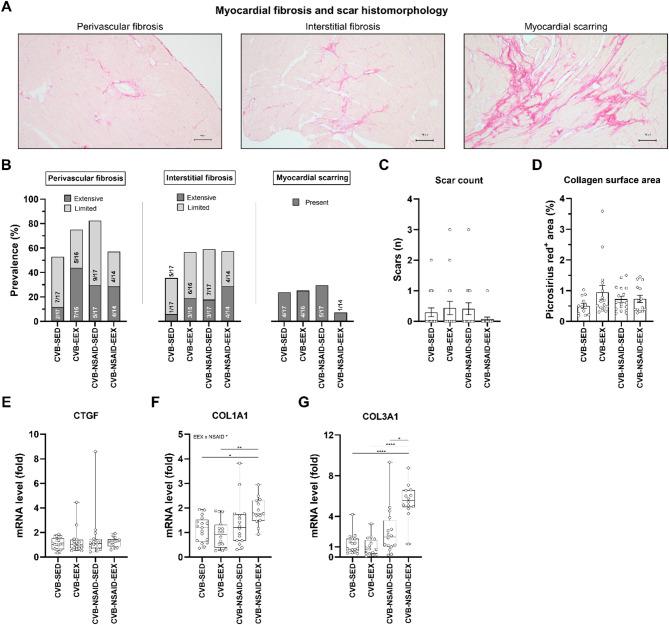 https://cdn.ncbi.nlm.nih.gov/pmc/blobs/670f/12343846/46673b5e610c/41598_2025_13437_Fig3_HTML.jpg